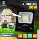 iwachi สปอร์ตไลท์