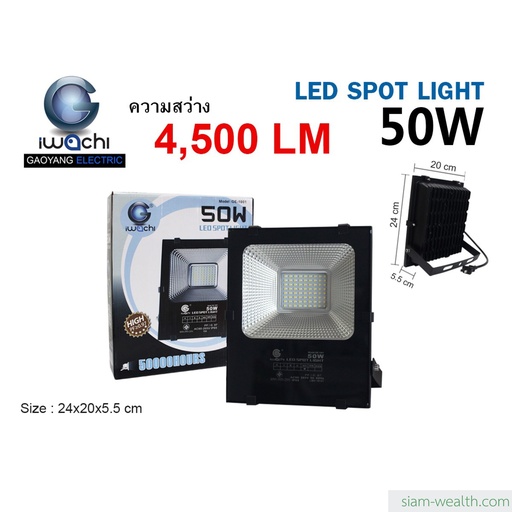 iwachi สปอร์ตไลท์