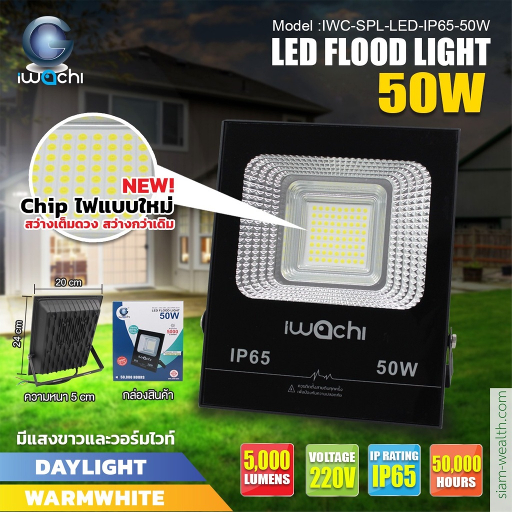 iwachi สปอร์ตไลท์